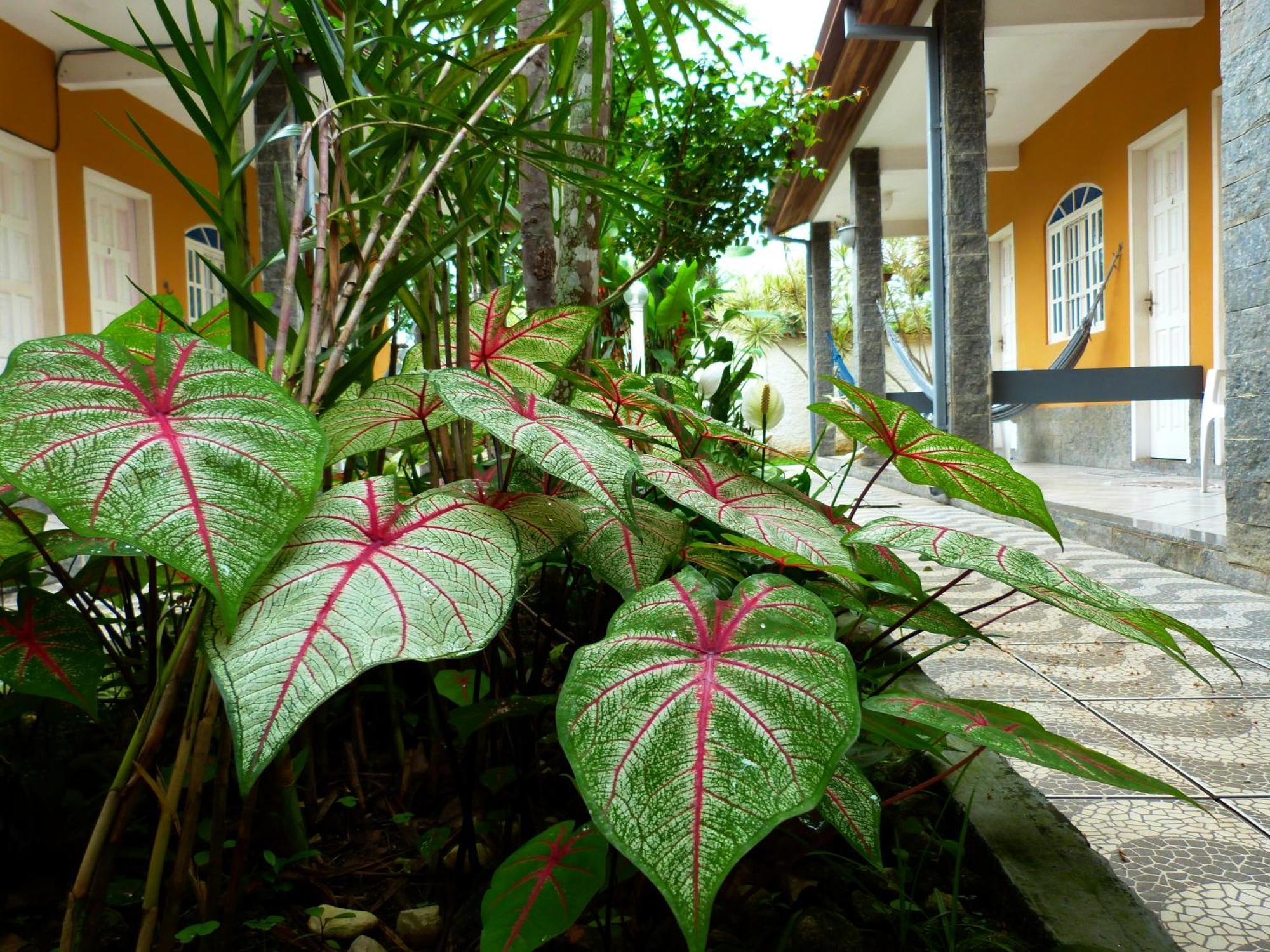 Villa Do Sonho Pousada Hotel Paraty Exterior foto